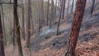 hasiči les hoří